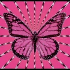 Meet your Posher, Maggie